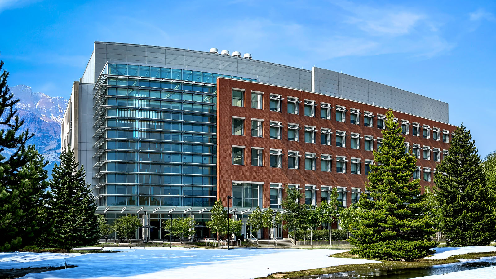 body_hospital_16x9 - Meriton Hospital